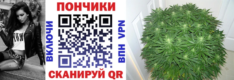 где найти Краснозаводск Бошки Шишки индика